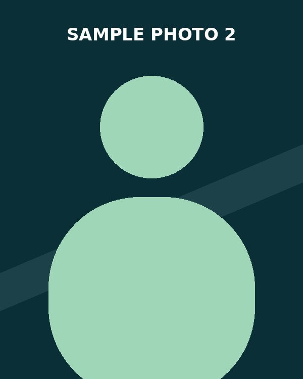 [Sample] Leader Two